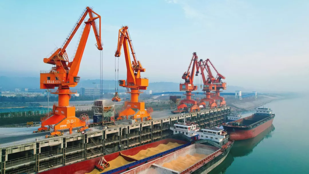 P020220629352823086262